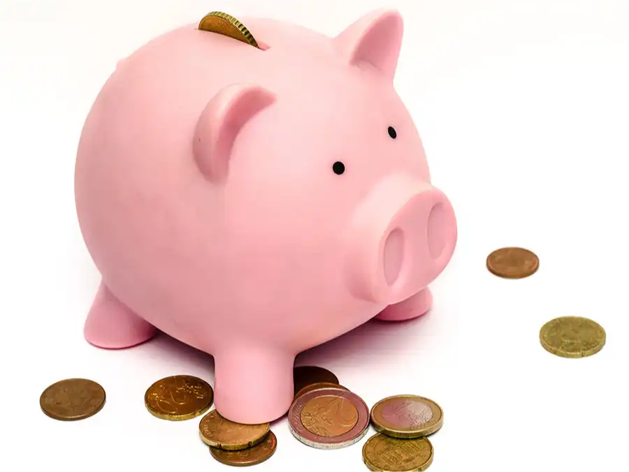 Finding Your Niche Market Identifying a Profitable Corner in the Accounting Industry