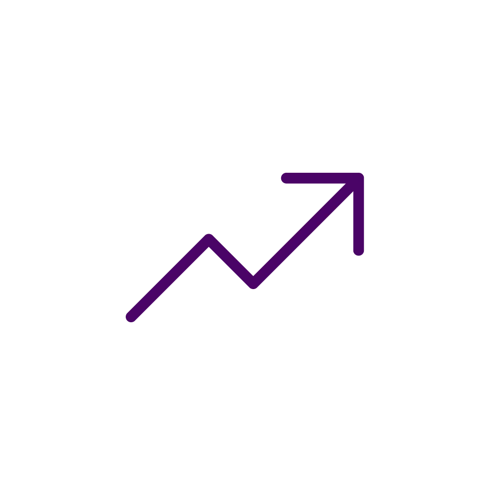 Data Analysts Deep Purple 1