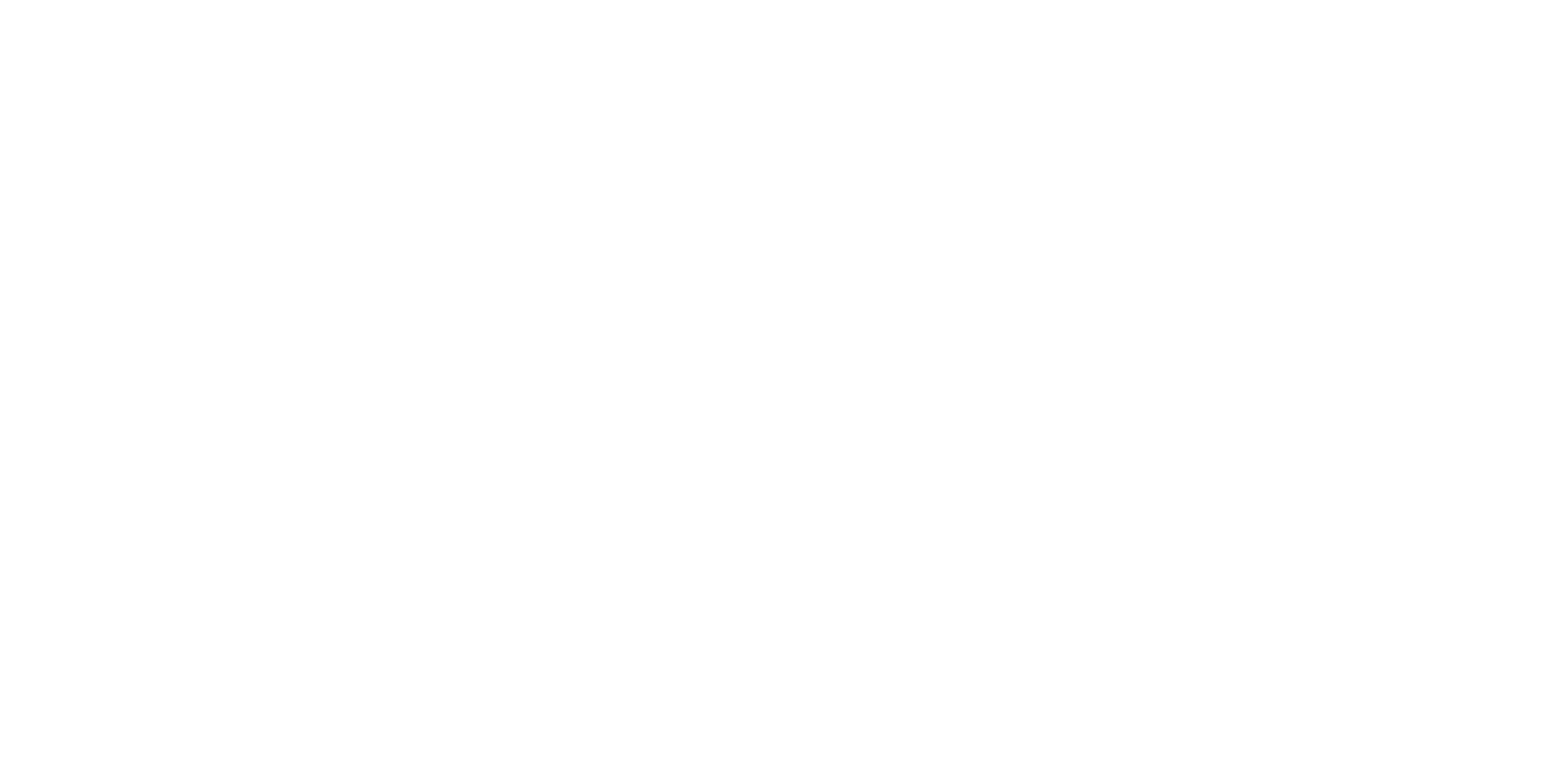 TOA Logo White