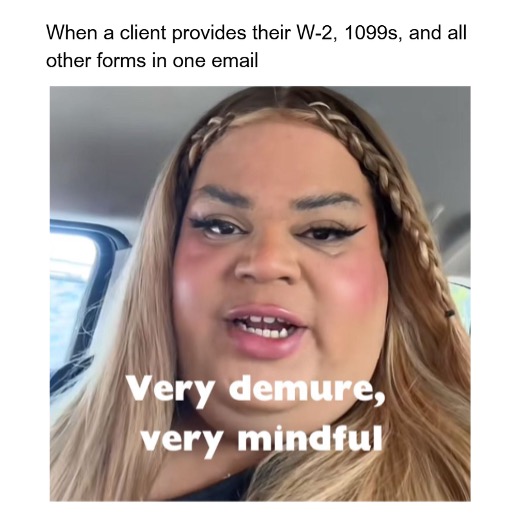 very demure, very mindful tax time meme