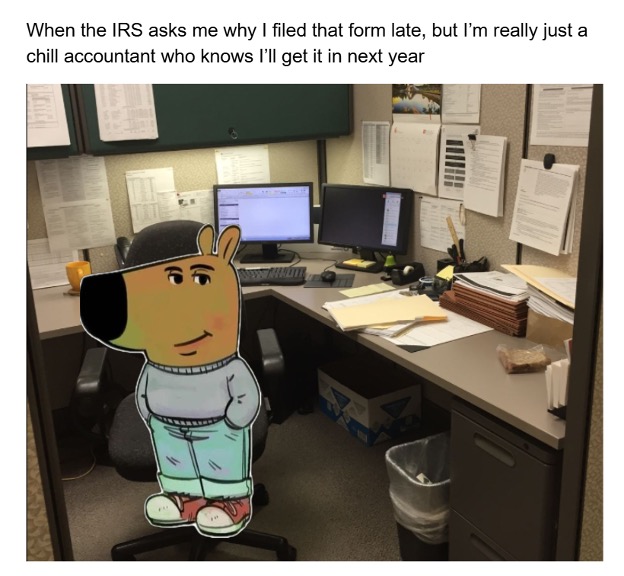 chill guy irs tax meme