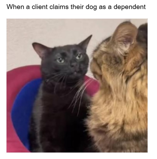 tax filing memes