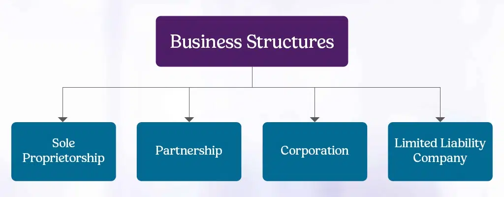 business structure